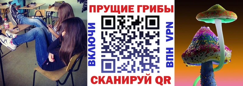 закладки  кракен рабочий сайт  Галлюциногенные грибы GOLDEN TEACHER  Малмыж 